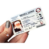 Santa License Christmas Surprise, Metal License for Santa, Christmas Eve, I caught Santa