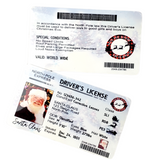 Santa License Christmas Surprise, Metal License for Santa, Christmas Eve, I caught Santa