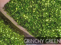 Grinchy Green .015 hex poly glitter, light green glitter for tumbler making, fine polyester glitter, Christmas Green glitter for tumbler
