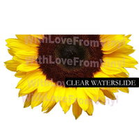Large sunflower waterslide tumbler decal, waterslide decal for tumblers, waterslide image for glitter cups, half sunflower image for tumbler