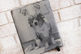Dog photo Slate sign, Engraved slate with photograph, Pet memorial photo, custom slate photo gifts, 8x10 slate sign, dog Christmas gifts