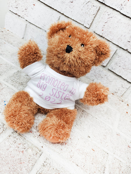 Best Little Sister Ever Teddy Bear, Gift Stuffed Animal, Plush Teddy Bear  With Tee, Welcoming Baby Gift, Gift for Her, Gift for Newborn - Etsy